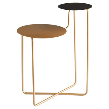 Bronze And Black