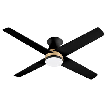 Aged Brass | Black