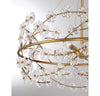 Warm Brass Chandelier | Clear Glass Flowers | 5-Light Candelabra Fixture | Alternate View