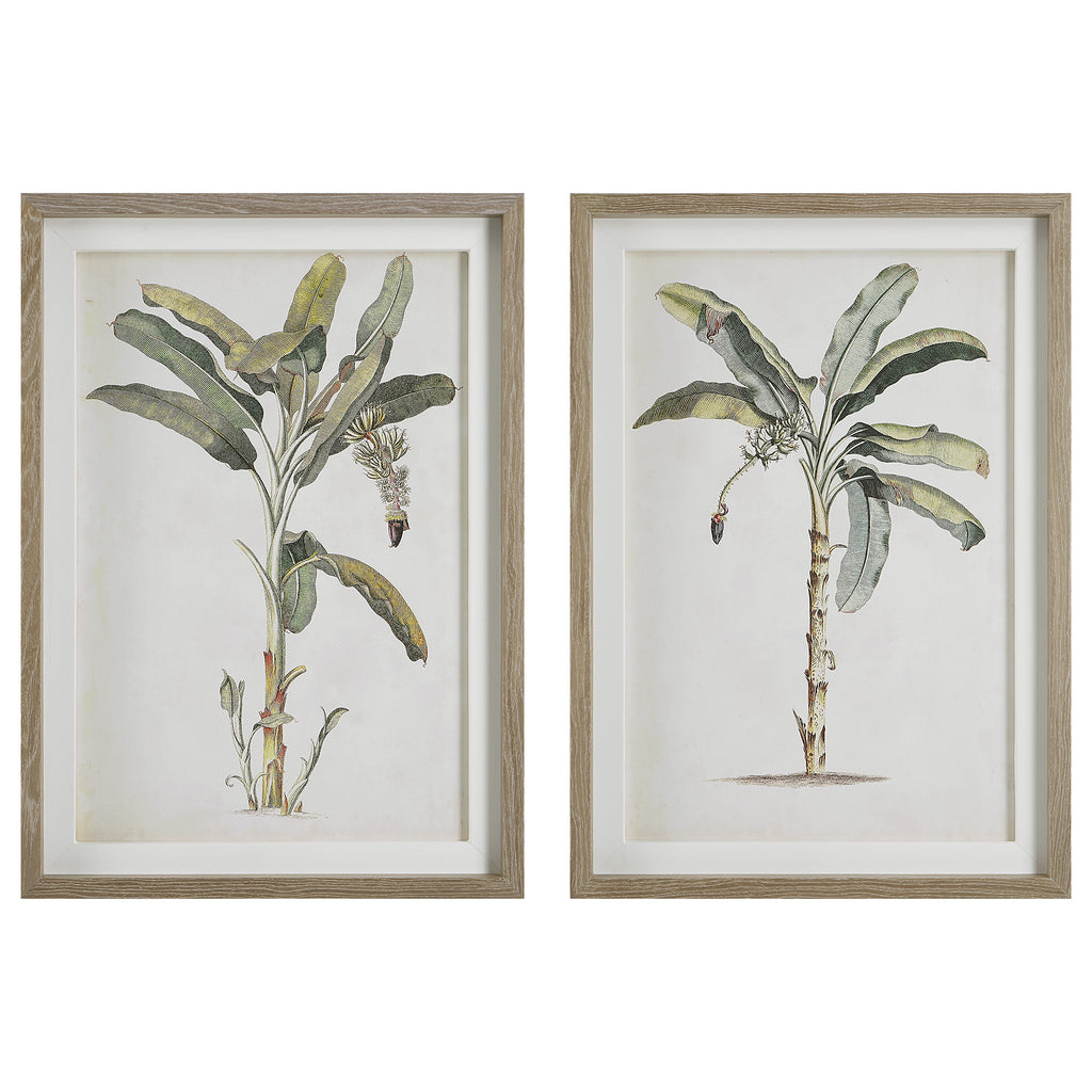 Botanical Palm Tree Print for Home Decor