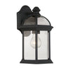 Park Avenue Outdoor Wall Lantern - Traditional 1-Light Fixture in Textured Black | Alternate View
