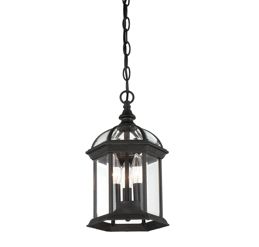 Park Avenue Outdoor Hanging Lantern in Textured Black | Alternate View