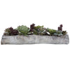 A Lush Mix Of Succulents In Varying Tones Of Greens And Burgundy Over A Faux Soil Mixture, Filling A Solid Concrete Container Resembling A Life-like Driftwood Log.