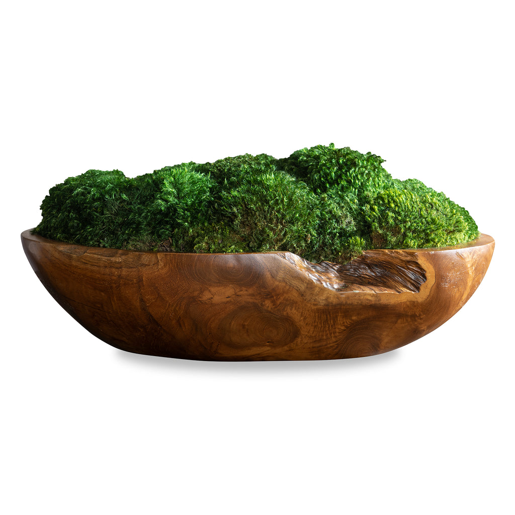 Beautifully Preserved Mounds Of Moss Placed In A Natural Teak Wood Bowl. Because Each Is Individually Handcrafted, Sizes May Vary.