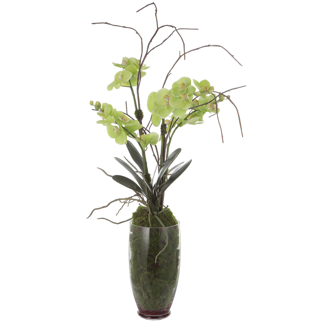 Midcentury Green Blooms in Clear Glass Vase - Faux Soil & Moss Accents