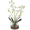 White Orchid in Clear Glass Vase | Home Decor - Alternate Image