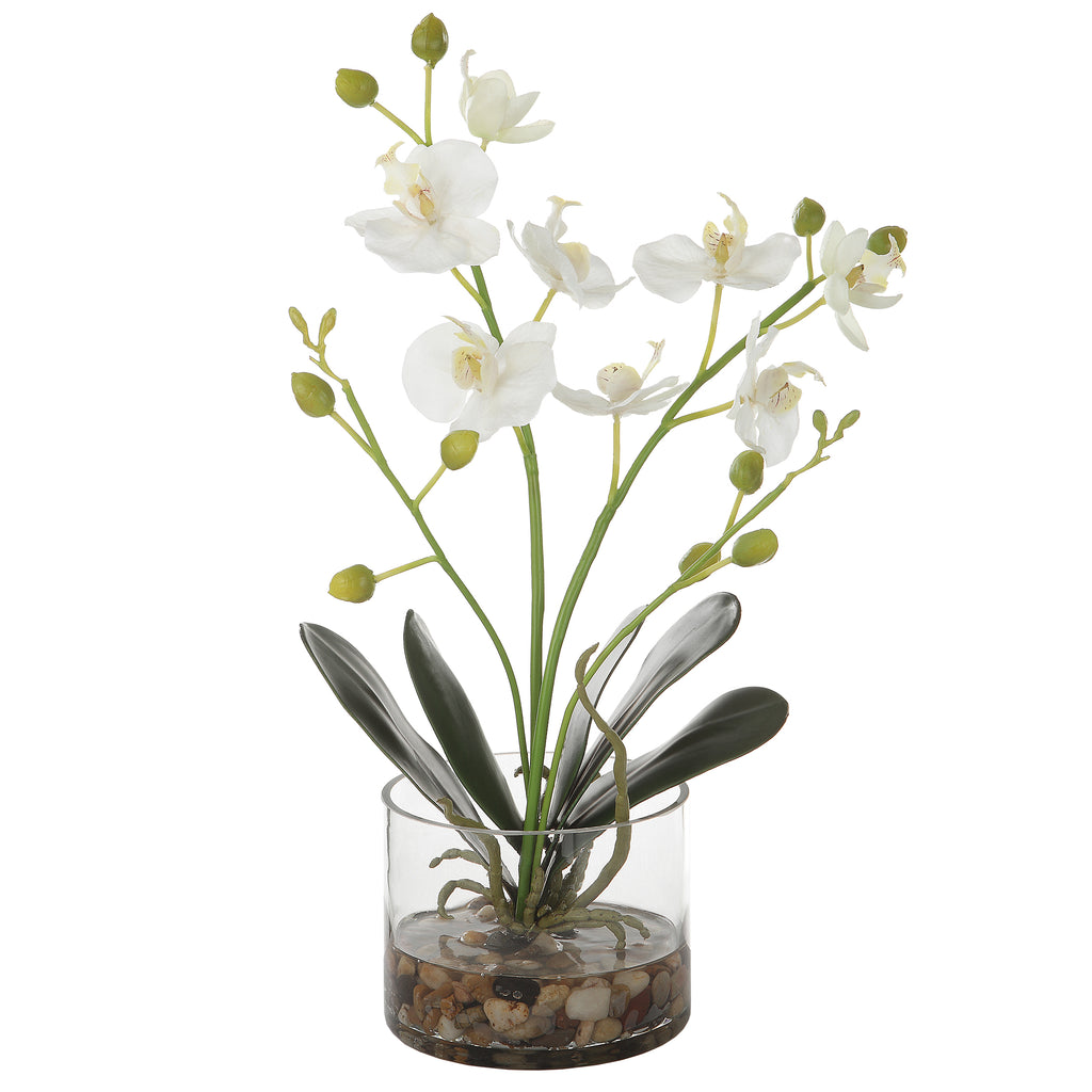 White Orchid in Clear Glass Vase | Home Decor - Alternate Image