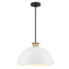 Park Slope 1 Light Modern Pendant - Black and Gold Finish | Alternate View