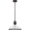 Soho Chic Pendant Light | Brushed Nickel & Palladian Bronze | Alternate View