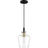 Earth Black Transitional Mini Pendant with 1 Light | Alternate View